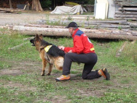 Delovno srečanje Alpe - Adria, 2011